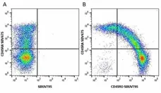 Anti Human CD45RO Antibody, clone UCHL1 gallery image 28