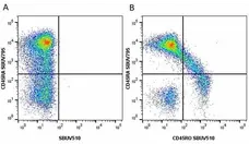 Anti Human CD45RO Antibody, clone UCHL1 gallery image 30