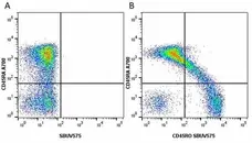 Anti Human CD45RO Antibody, clone UCHL1 gallery image 32