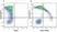 Anti Human CD45RO Antibody, clone UCHL1 thumbnail image 35