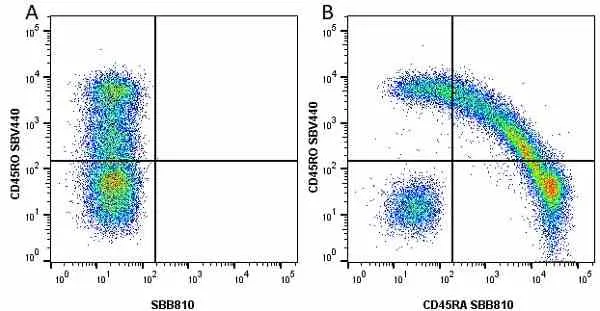 Anti Human CD45RO Antibody, clone UCHL1 gallery image 44
