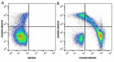 Anti Human CD45RO Antibody, clone UCHL1 gallery image 52