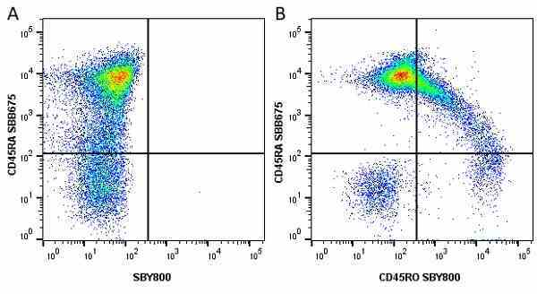Anti Human CD45RO Antibody, clone UCHL1 gallery image 53