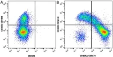 Anti Human CD45RO Antibody, clone UCHL1 gallery image 63