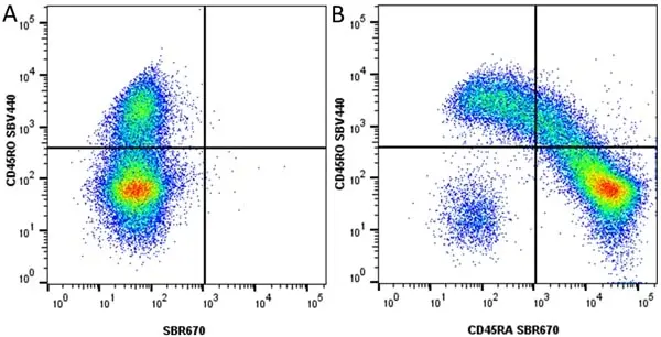 Anti Human CD45RO Antibody, clone UCHL1 gallery image 63