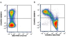 Anti Human CD45RO Antibody, clone UCHL1 gallery image 65
