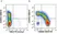 Anti Human CD45RO Antibody, clone UCHL1 thumbnail image 67