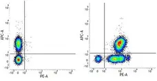 Anti Human CD46 Antibody, clone MEM-258 gallery image 1