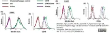 Anti Human CD46 Antibody, clone MEM-258 gallery image 4