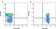 Anti Human CD47 Antibody, clone 1/1A4 gallery image 1