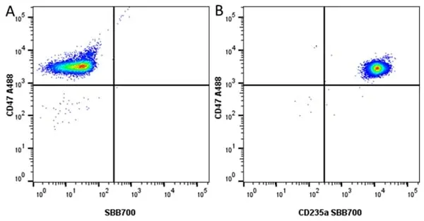 Anti Human CD47 Antibody, clone 1/1A4 gallery image 3
