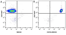 Anti Human CD47 Antibody, clone 1/1A4 gallery image 5