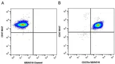 Anti Human CD47 Antibody, clone 1/1A4 gallery image 7