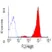 Anti Human CD48 Antibody, clone MEM-102 thumbnail image 1