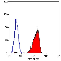 Anti Human CD48 Antibody, clone MEM-102 gallery image 2