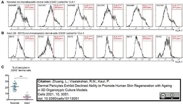 Anti Human CD49a Antibody, clone TS2/7 gallery image 5
