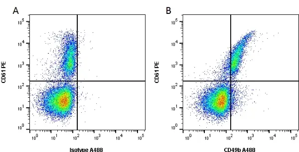 Anti Human CD49b Antibody, clone 16B4 | Bio-Rad