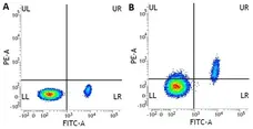 Anti Human CD49b Antibody, clone AK7 gallery image 1