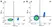 Anti Human CD49b Antibody, clone AK7 thumbnail image 1