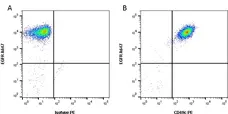 Anti Human CD49c Antibody, clone 17C6 gallery image 1