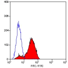 Anti Human CD49d Antibody, clone 44H6 gallery image 2