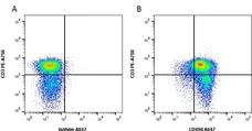 Anti Human CD49d Antibody, clone Bu49 gallery image 1