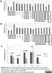 Anti Human CD49d Antibody, clone HP2/1 thumbnail image 1