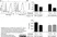 Anti Human CD49d Antibody, clone HP2/1 thumbnail image 6