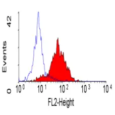 Anti Human CD49f Antibody, clone 450-30A gallery image 1