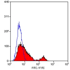 Anti Human CD49f Antibody, clone 450-30A gallery image 2