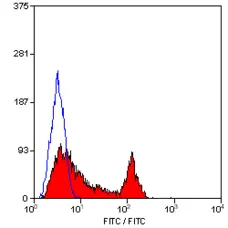 Anti Human CD49f Antibody, clone 450-30A gallery image 3