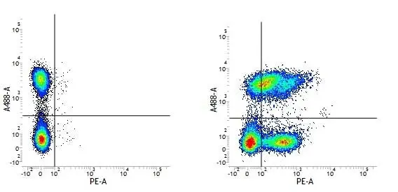 Anti Human CD49f Antibody, clone NKI-GoH3 gallery image 2