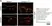 Anti Human CD49f Antibody, clone NKI-GoH3 thumbnail image 3
