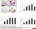 Anti Human CD51/CD61 Antibody, clone 23C6 thumbnail image 1