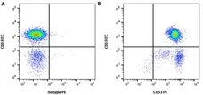 Anti Human CD52 Antibody, clone HI186 gallery image 1