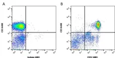 Anti Human CD52 Antibody, clone YTH34.5 gallery image 1