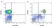 Anti Human CD52 Antibody, clone YTH34.5 thumbnail image 1