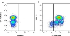 Anti Human CD52 Antibody, clone YTH34.5 gallery image 2
