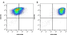 Anti Human CD54 Antibody, clone 15.2 gallery image 1