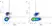 Anti Human CD54 Antibody, clone 15.2 thumbnail image 2