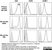 Anti Human CD54 Antibody, clone 15.2 thumbnail image 5