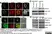 Anti Human CD54 Antibody, clone 15.2 thumbnail image 6