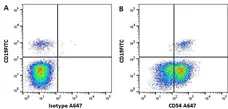 Anti Human CD54 Antibody, clone 15.2 gallery image 7