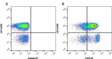 Anti Human CD55 Antibody, clone 67 gallery image 4