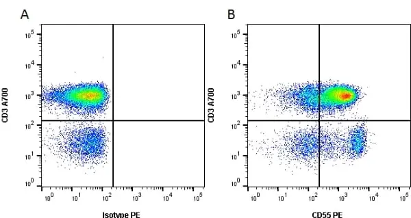 Anti Human CD55 Antibody, clone 67 gallery image 4