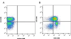 Anti Human CD55 Antibody, clone 67 gallery image 6