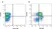 Anti Human CD55 Antibody, clone 67 thumbnail image 6