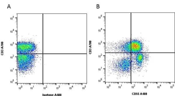 Anti Human CD55 Antibody, clone 67 gallery image 6