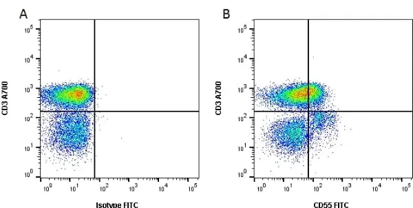 Anti Human CD55 Antibody, clone 67 gallery image 7