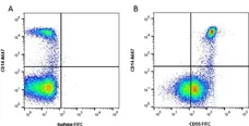 Anti Human CD55 Antibody, clone Bu14 gallery image 1